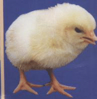 С�u�r��-�����C(j��)�W(w��ng)վ